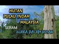 Suara Suara Seram Dalam Hutan Malaysia