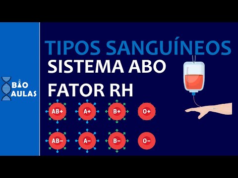 Blood Types - ABO System and Rh Factor (ImmunoHematology) - Bio Classes