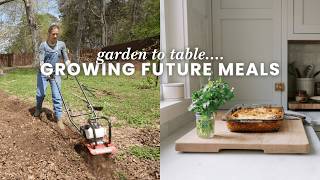 Getting my Spring Garden Going!