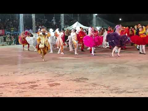 Mocidade junina no arraial flor do maracujá 2025