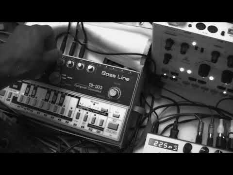 Roland TB 303 & RE-20 Space Echo