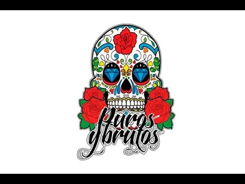 PUROS Y BRUTOS - INTRO [LEY PROPIA] |VIDEOCLIP|