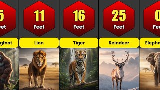 How High Can Each Animal Jump | Animal Jumping Abilities