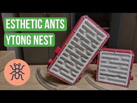 Recensione del Nido Ytong di Esthetic Ants
