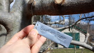 Aluminum Impression Permanent Plant and Tree Tags Review