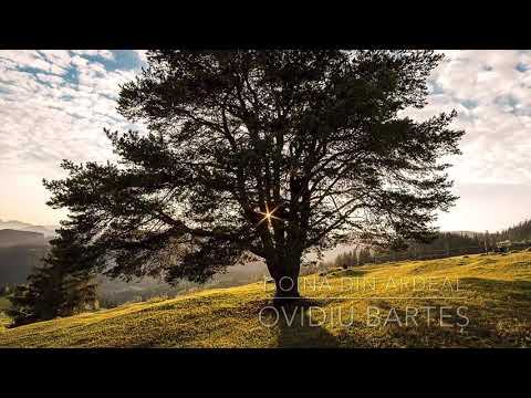 Doină din Ardeal - Ovidiu Barteș