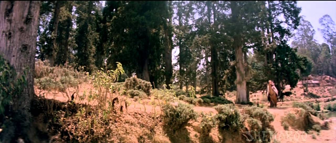 Parvaton Se Aaj Main Takaraa Gayaa Lyrics  | Betaab | Sunny Deol, Amrita Singh | Shabbir Kumar | Rahul Dev Burman