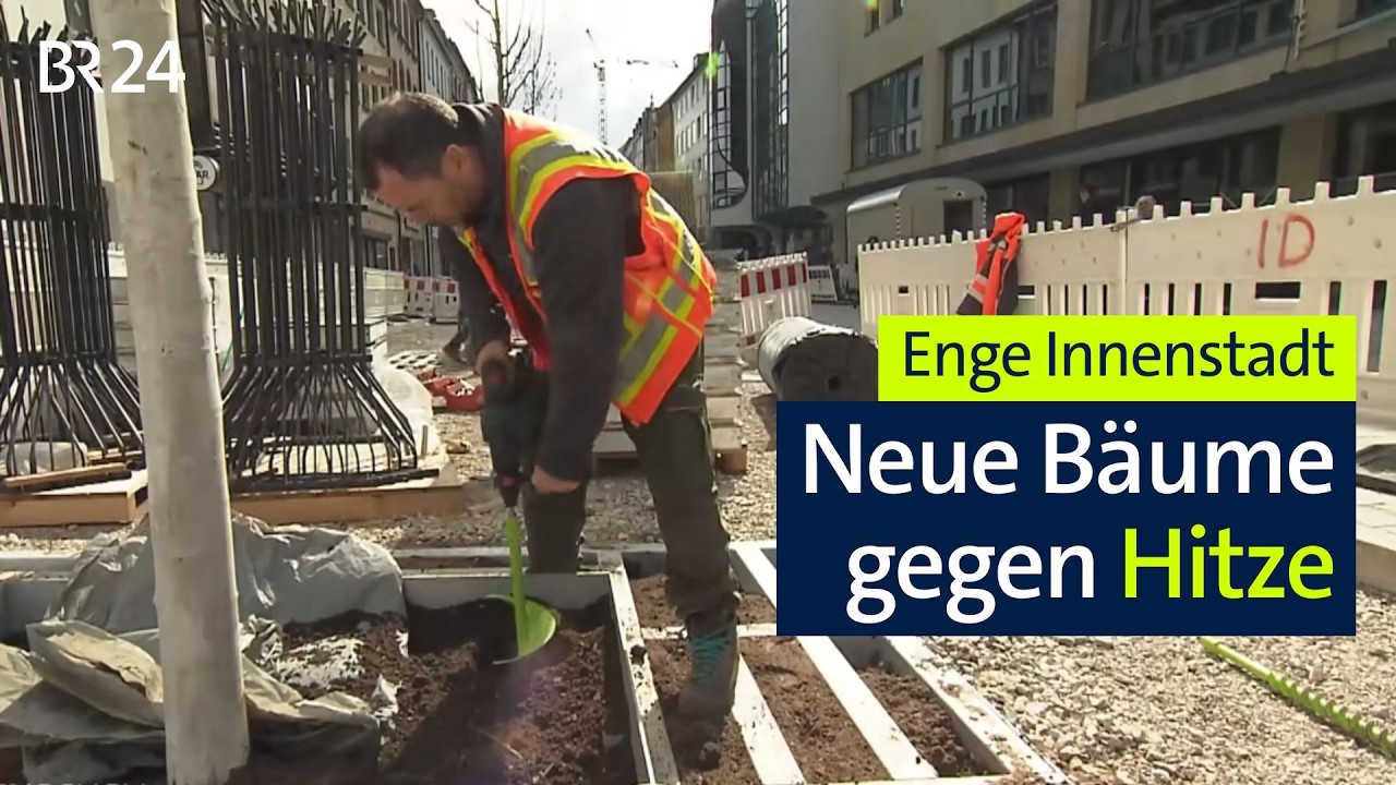 Gegen Hitze in der Stadt: Neun Rot-Ahornbäume in der engen Fußggängerzone gepflanzt | BR24