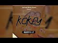Kokey Babyfe L7