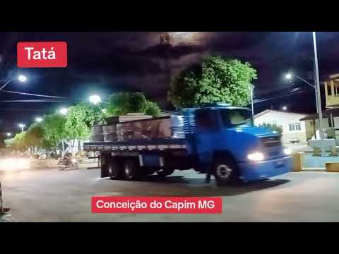 Tatá: Conceição do Capim Minas Gerais 