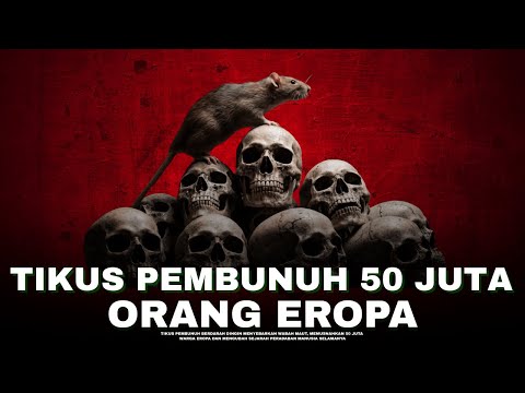 Teror Tikus! Wabah Paling Mematikan dalam Sejarah Eropa | #Alamaya