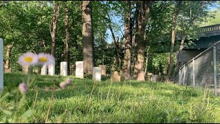 Fan Made Music Video for, "Till the Water's All Long Gone"