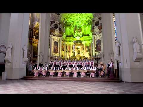 Sodauto | VU Ansamblis