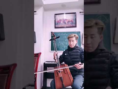 Morinkhuur Endless love