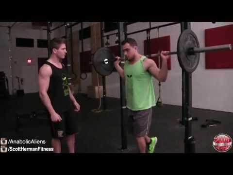 Muscular Strenght Title