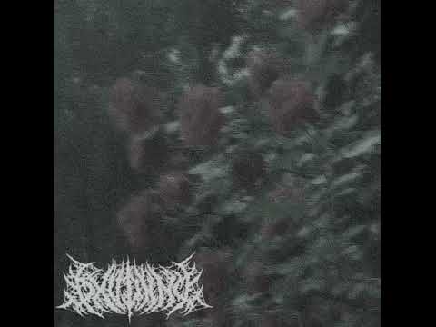 DXVDXND - REPULSA 1 & 2