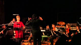Cancíon del Ciego (2013), Santiago Diez-Fischer / ensemble soundinitiative