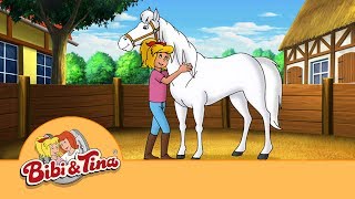 Bibi & Tina - Der Pferdeflüsterer