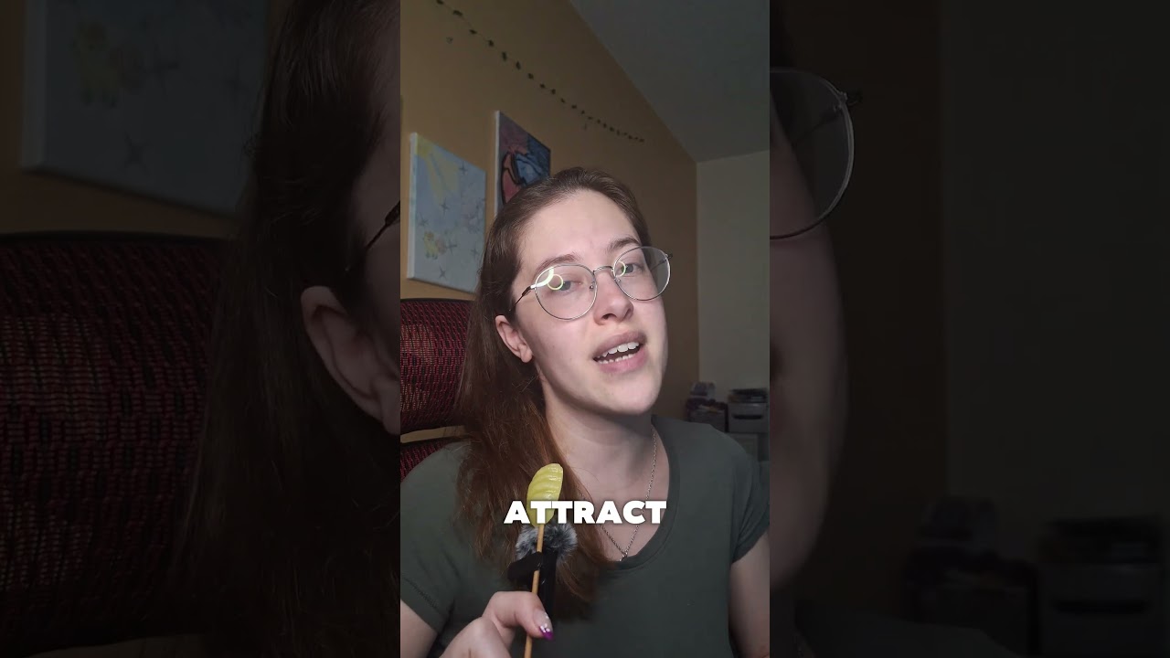 I Walked Out Of A Job Interview!!