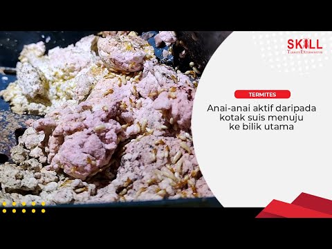 Anai-Anai Aktif Daripada Kotak Suis Menuju Ke Bilik Utama