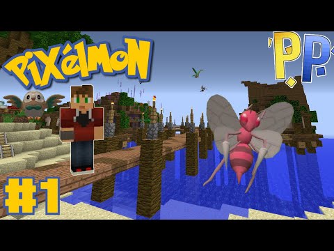 Pocket Pixels Yellow Server Episode 1 Pink Beedrill?
