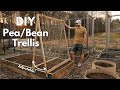How to Build the Ultimate Pea/Bean Trellis