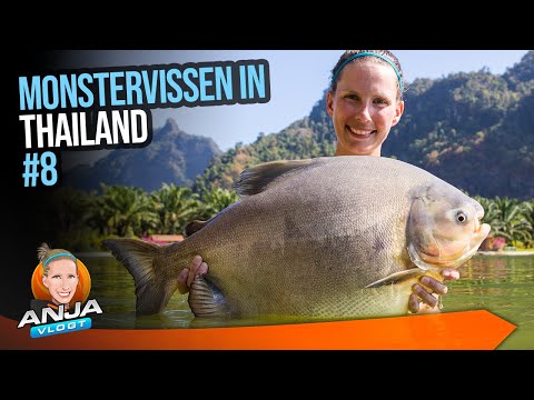 BRUTE MONSTERVISSEN IN THAILAND - Vlog #8