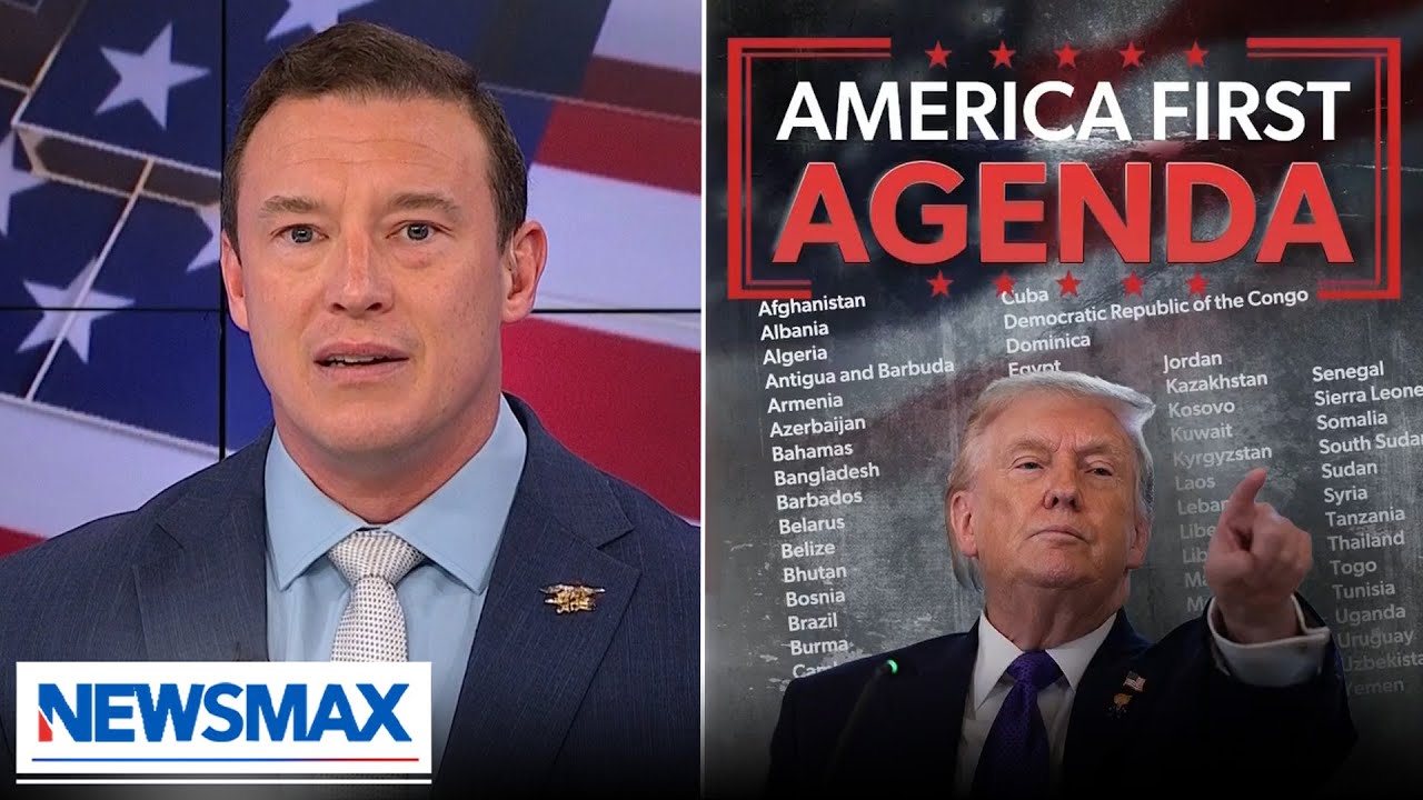 Carl Higbie: 'We don't need people with the IQs of border collies coming into the country'