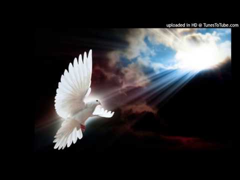 Today's Tango Is... Paloma Que Vuelas - Emilio Pellejero 1941