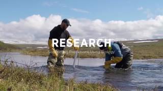 Ecosystems at risk from Climate Change