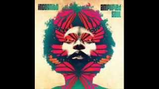Incognito - Something &#39;Bout July (Amplified Soul)