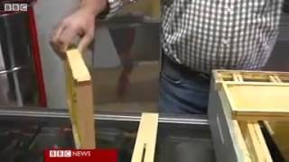 French beekeepers producing blue honey.