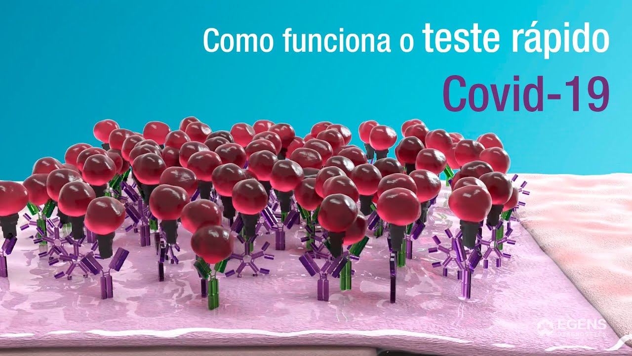 Como funciona o teste rápido COVID-19 Contourline