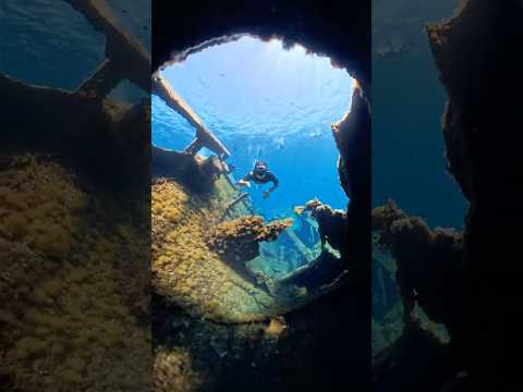 Insta360 X5 Underwater & Dive Case Test #insta360x5 #insta360