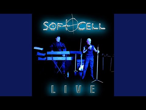 Divided Soul (Live 2003)