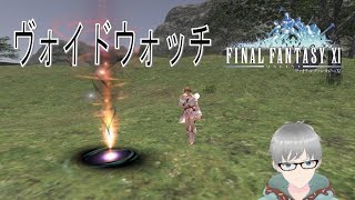 【初めてのMMORPG】#313 FF11 VW「真界」を進める‼② ※概要欄必読 24/11/17