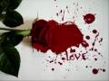 ‫والله دنيا - ميامي wallah denya‬‎ 