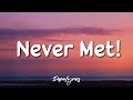 CMTEN - NEVER MET! (ft. Glitch Gum)(Lyrics) | It'd be better if we had just never met