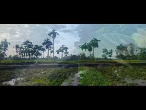 Bukit Timur - Franky and Jane