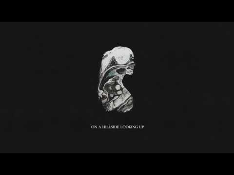 Zealyn - On a Hillside Looking Up (Official Audio)