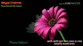 Download lagu Choto choto fule fule bhore je gechhe bangla superhit dong mp3