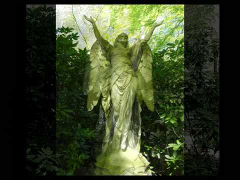 Friedhof Ohlsdorf - VNV Nation -  Momentum Strata - the graveart version - BREMEN chrome