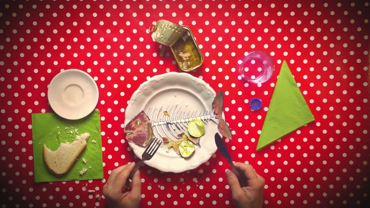 5in1 Oktatófilm sorozat 14. rész - Légy te is plasztikprofi!