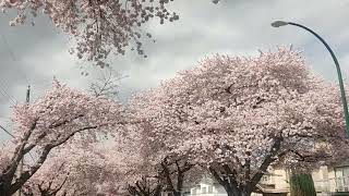 2022年3月31日