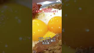 【祝！埼玉西武ライオンズ交流戦初優勝記念】奥山陽平の、たまに外食でしょう！ショート動画バージョン【西武池袋線 武蔵藤沢 肉とスパイス日向カレーさん】
