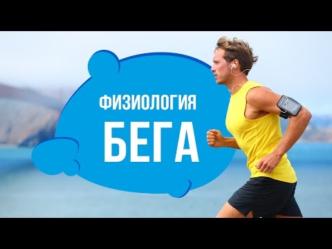 Лфк при остеохондрозе шейного отдела позвоночника видео на ютубе Гимнастика при остеохондрозе пояснично отдела позвоночника