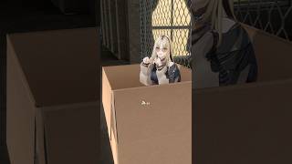 虎金妃笑虎 - 捨てニコを拾いませんか？　#虎のいる生活