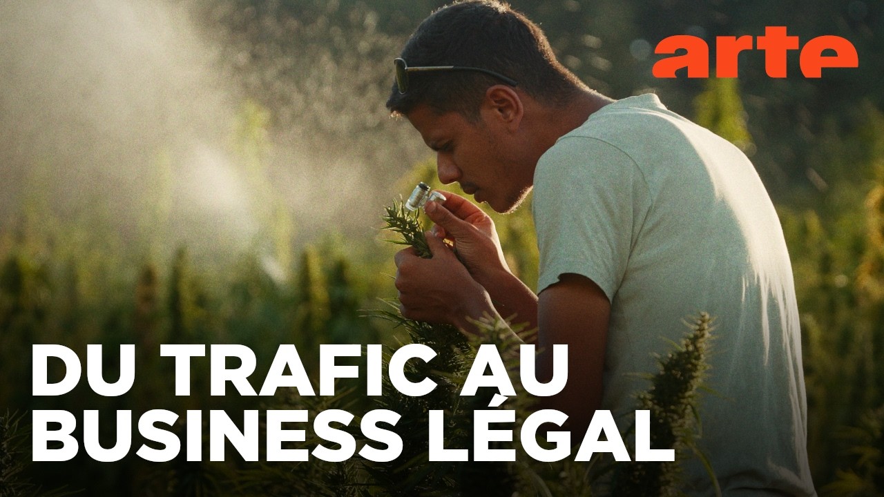 Maroc, le tournant du cannabis médical | 360° Reportage | ARTE
