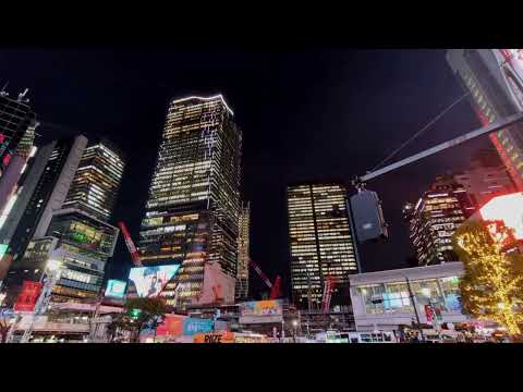 Vibrant Nightlife in Urban Skyscraper Scene | 4K City Lights Free Stock Footage | No Copyright