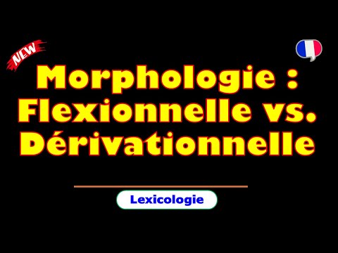 #Morphologie : #Flexionnelle vs. #Dérivationnelle